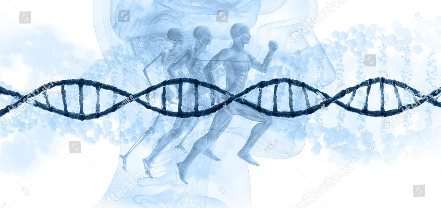 Dna-Strang