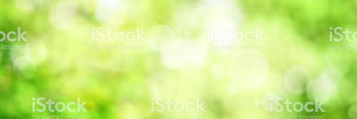 leeres bild